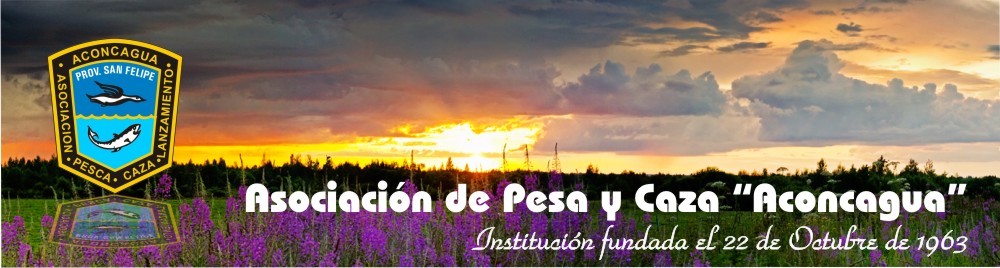 Asociación Aconcagua