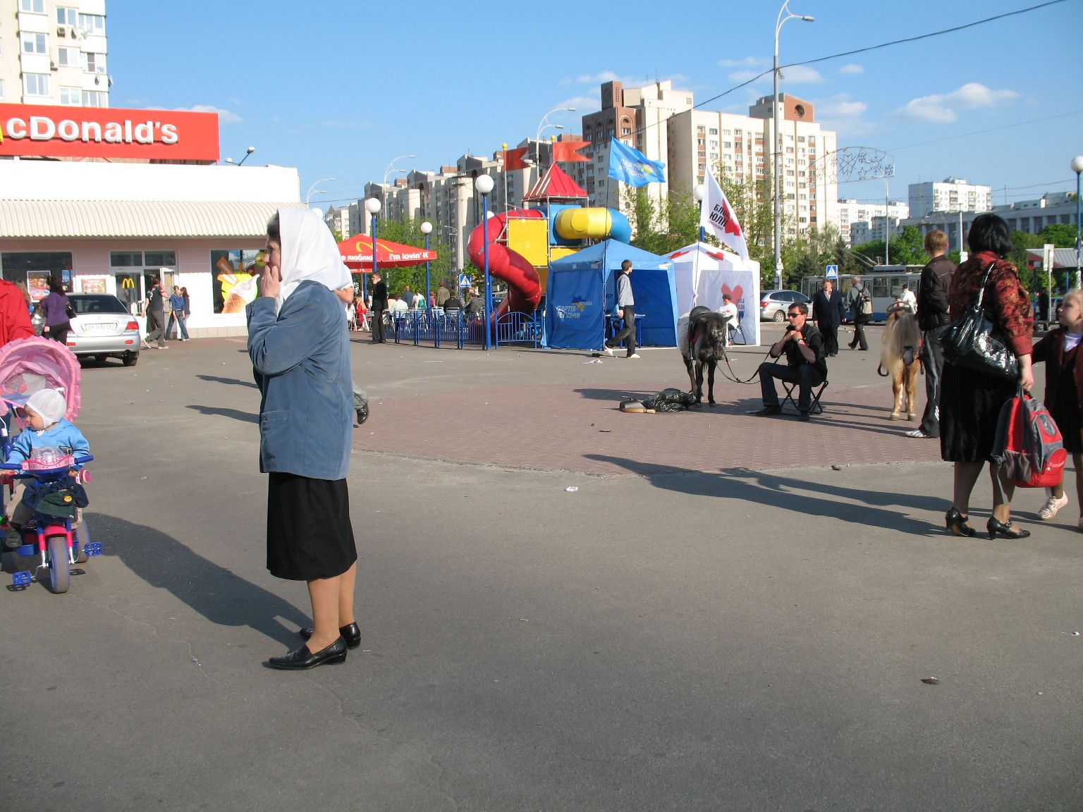 [IMG_8254.JPG]