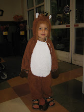 A horse is a horse of course, unless it looks like a squirrel