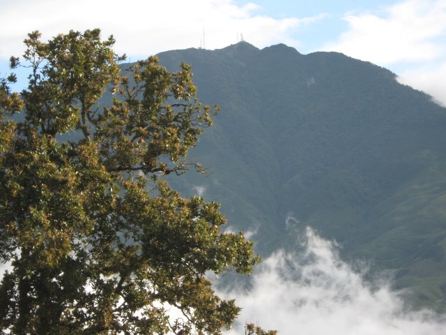 CERRO EL CAMPANARIO