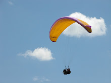 VUELOS EN PARAPENTE