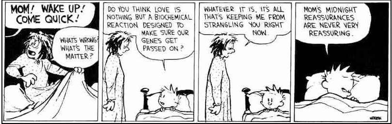 definition of love definition of love