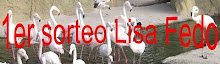 SORTEO en Lisa Fedo