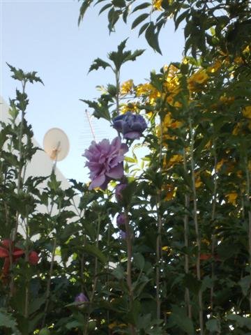 [19082008472+(Small).jpg]