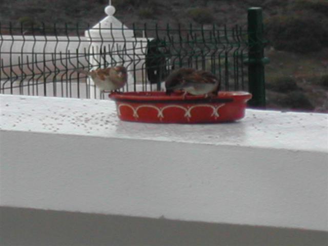 [DSCN4099+(Small).JPG]