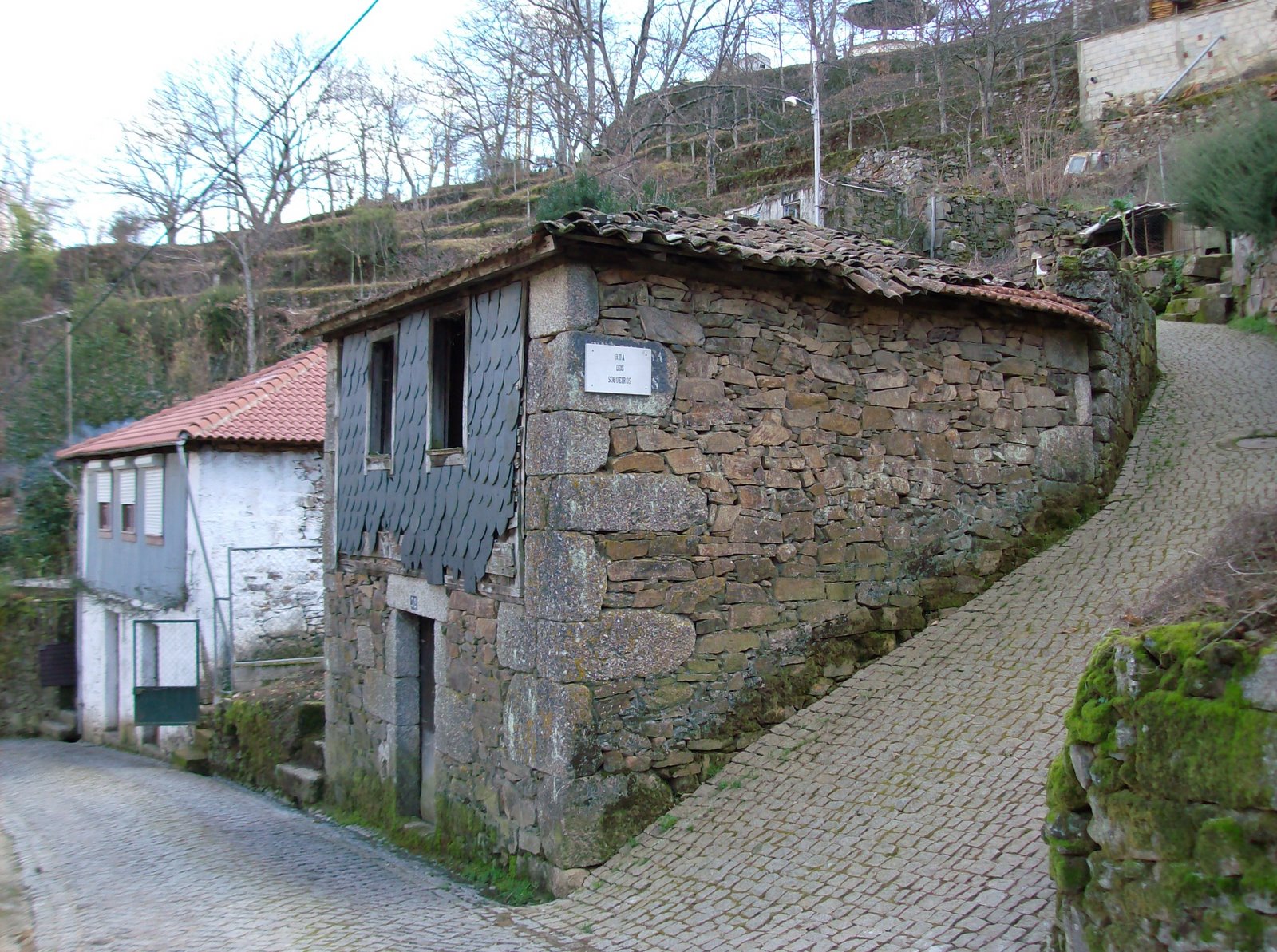 [HPIM0128.JPG]