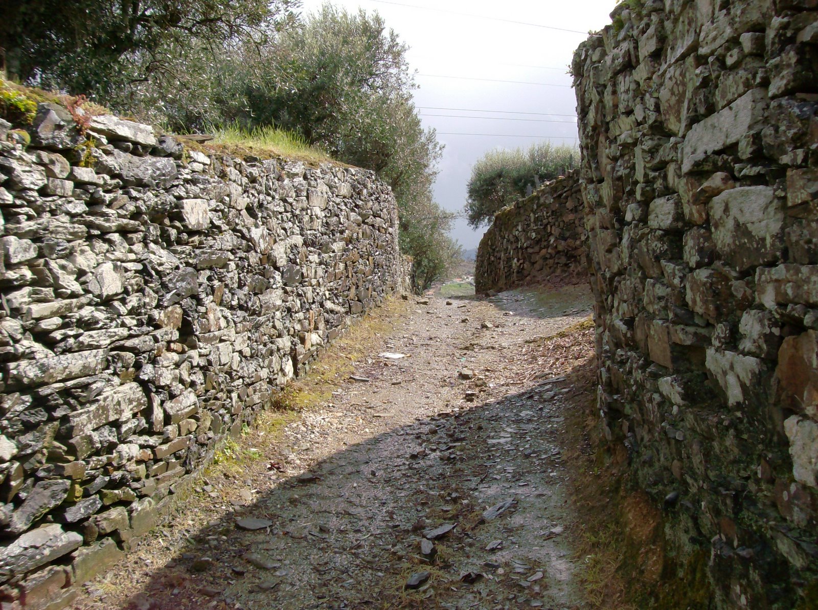 [HPIM0929.JPG]