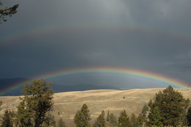 Autumn in Yellowstone Park