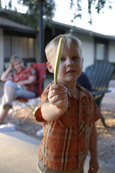 [Library+-+0021.jpg]