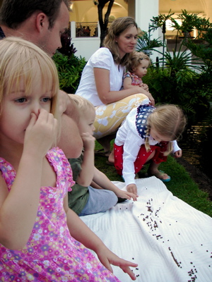 [Library+-+0056.jpg]