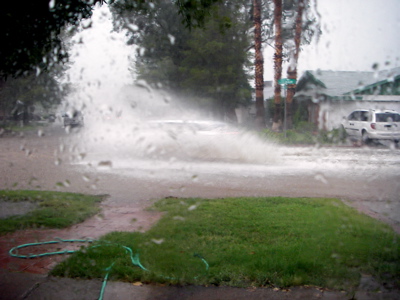 [Library+-+0004.jpg]