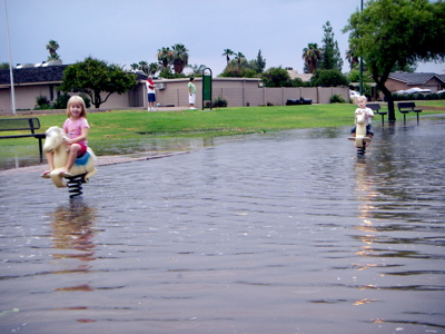 [Library+-+0024.jpg]