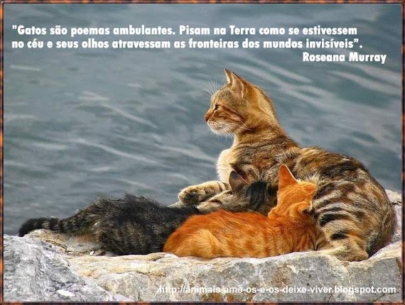 Printable livre Frases Animais De Estimação Que Morreram