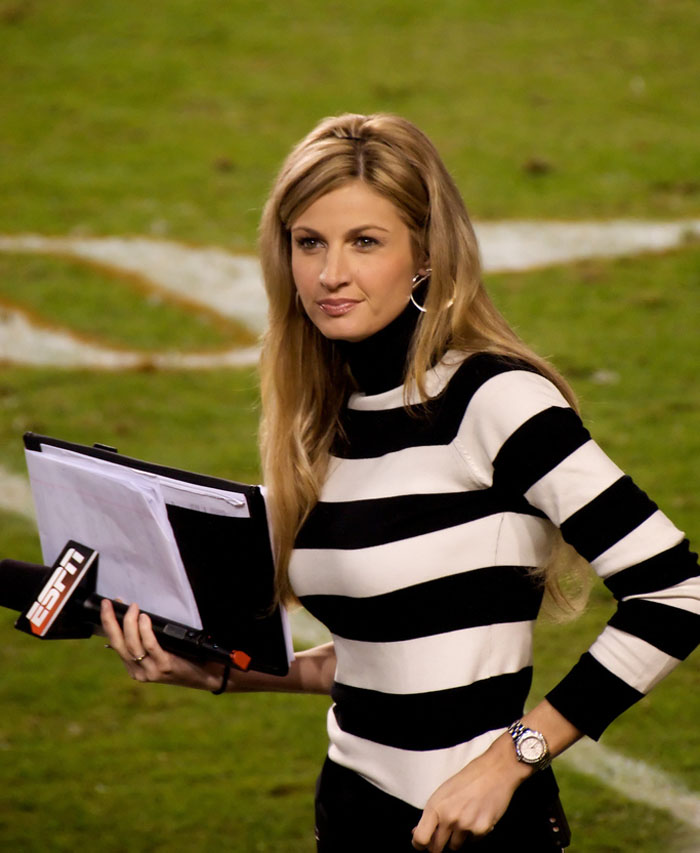 Erin Andrews Pictures, Photo Gallery And Wallpapers