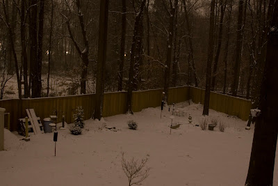 The onset of the blizzard: Long-exposure shot from the night before the storm