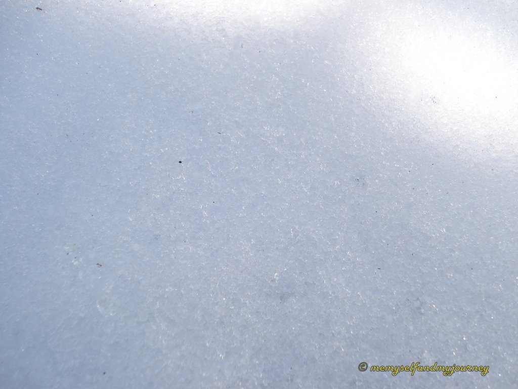 [Ice...+Ice..+Magic!.JPG]