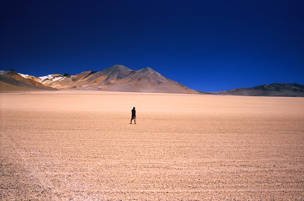 CAMINANDO POR EL DESIERTO