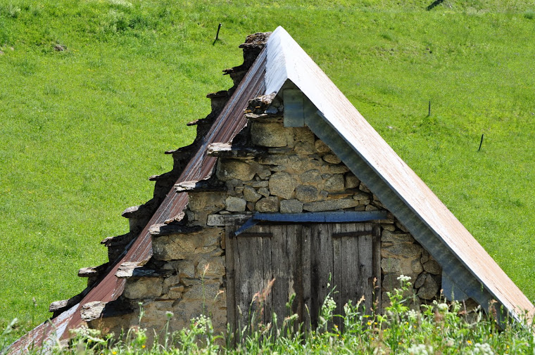 UN AMOUR DE PYRENEES