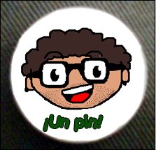 [pin.bmp]