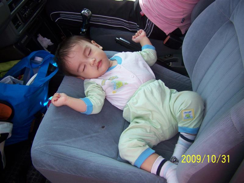 [101_7065+(Medium).JPG]