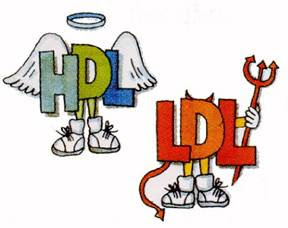 Hdl+cholesterol+foods+list