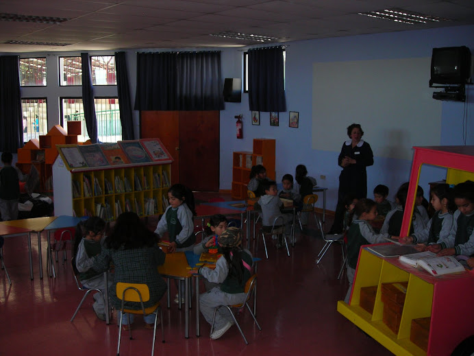 alumnos  disfrutando,leyendo  en biblioteca pública