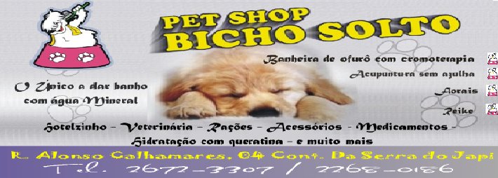 Pet Shop Bicho Solto
