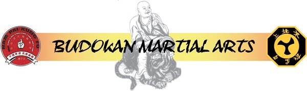Budokan Martial Arts