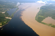 AMAZONAS