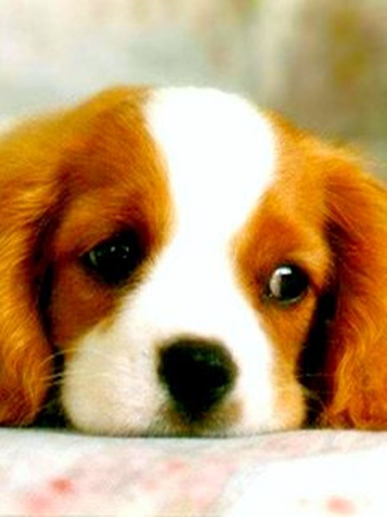 Pensa No Amor Imagens Extraordin 225 Rias 49