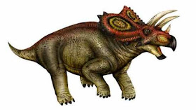 Coahuilaceratops - Jurukunci4.blogspot.com