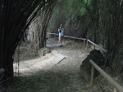 CJ on bamboo tunnel path to pagoda