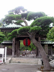 Hasa -dera Temple (mercy. kids)