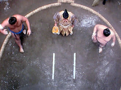 Wrestlers enter sumo ring