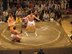 Top East Yokozuna  "HAKUHO"