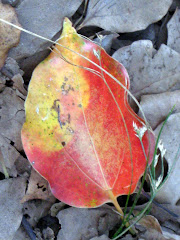 one leaf of color