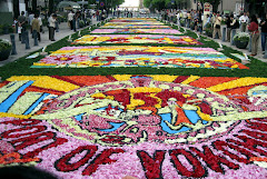A long carpet of flower petals