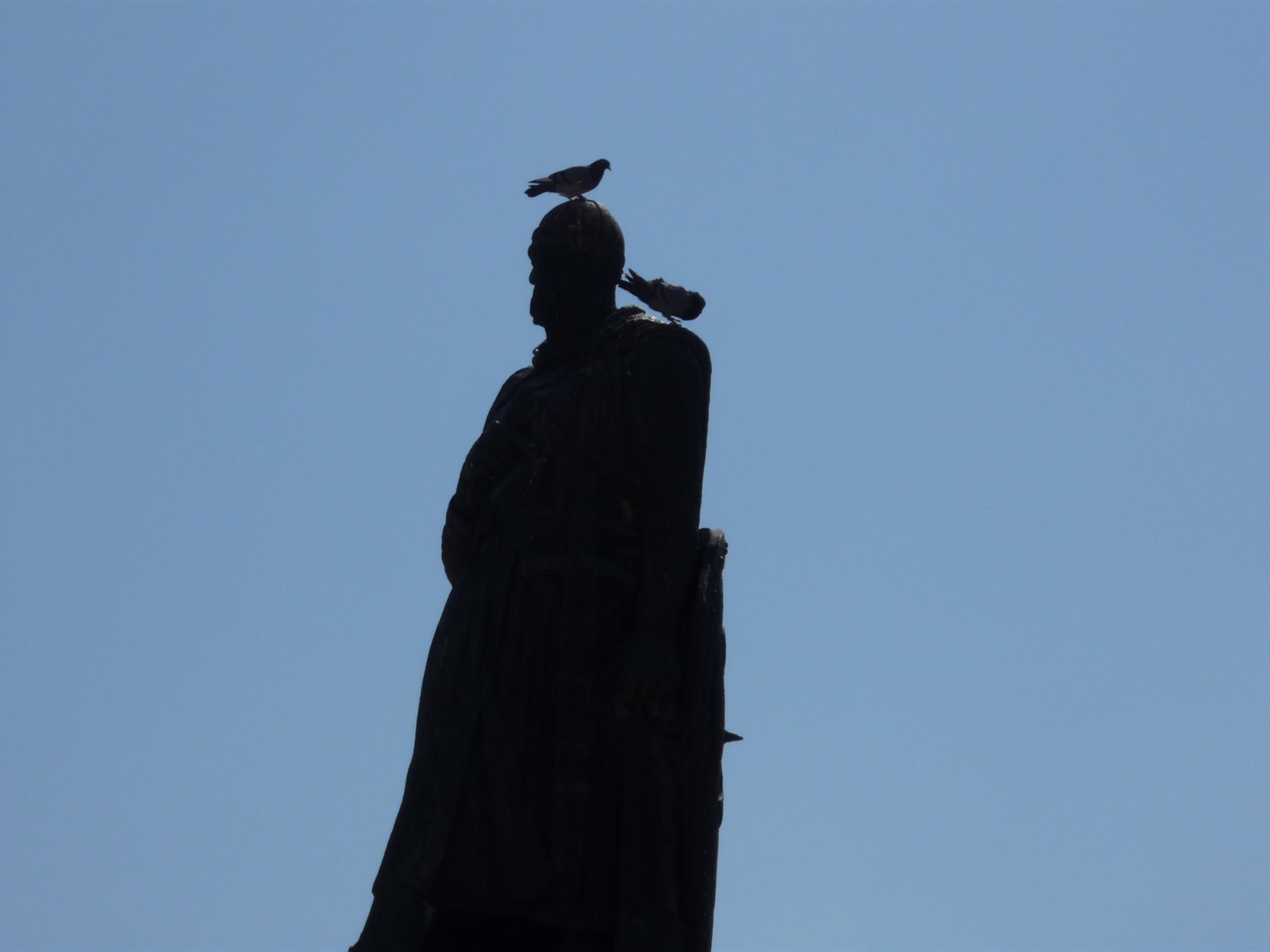 [P1000146.JPG]