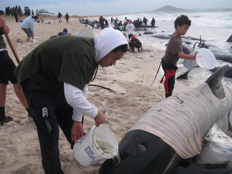 Te Hemara, Wiremu and Lala