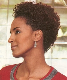 Hairstyles 2012 Short Natural Hairstyles