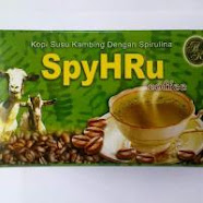 SpyHRu RM 22