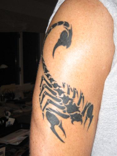 scorpion tattoo