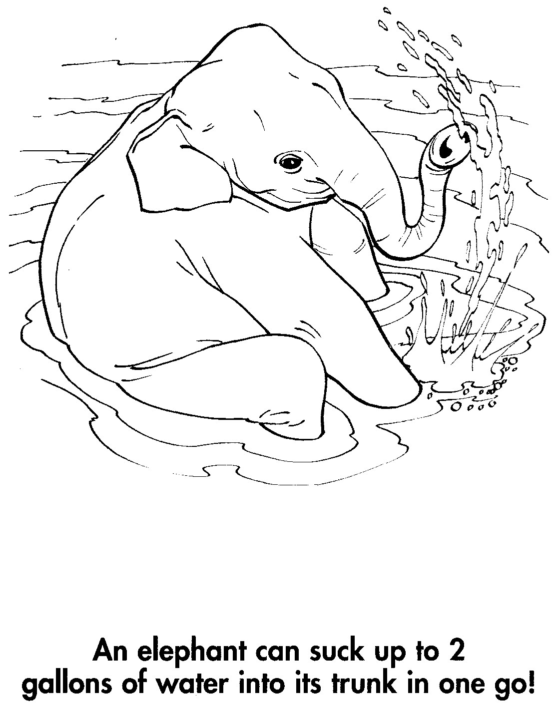 sport life Earth Coloring Book Awesome Animals (95