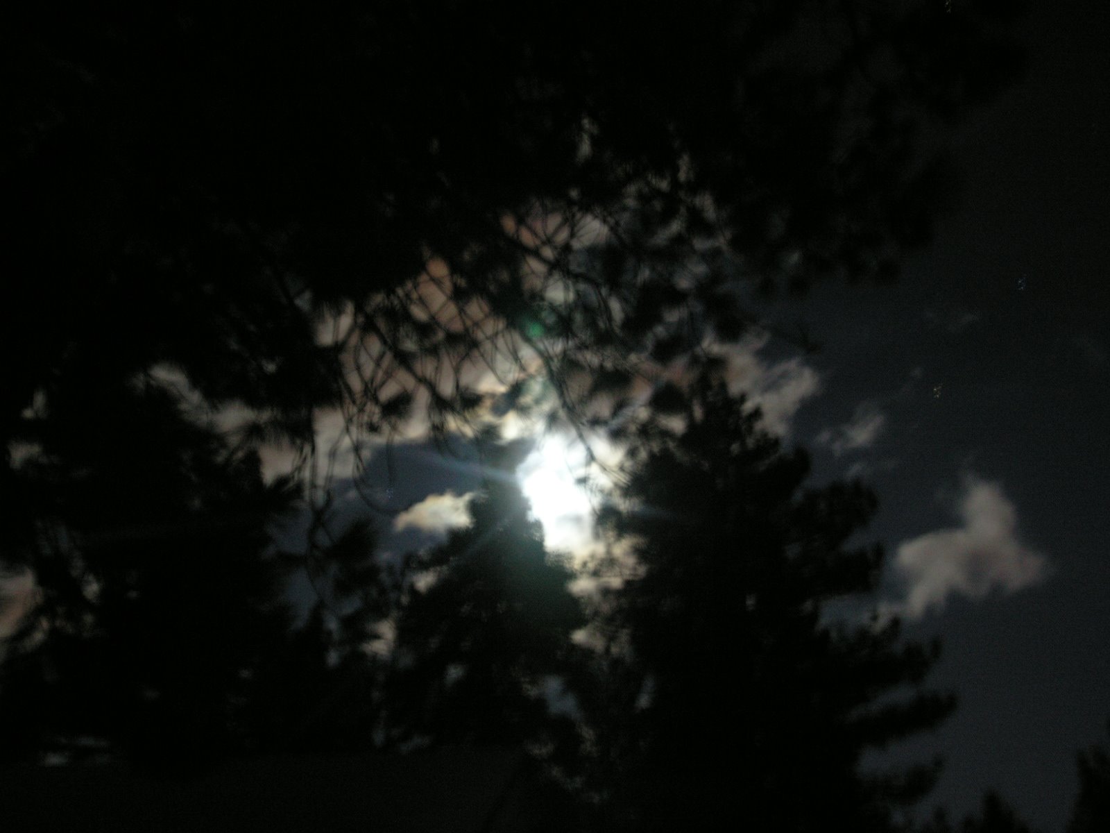 [PC139232.JPG]