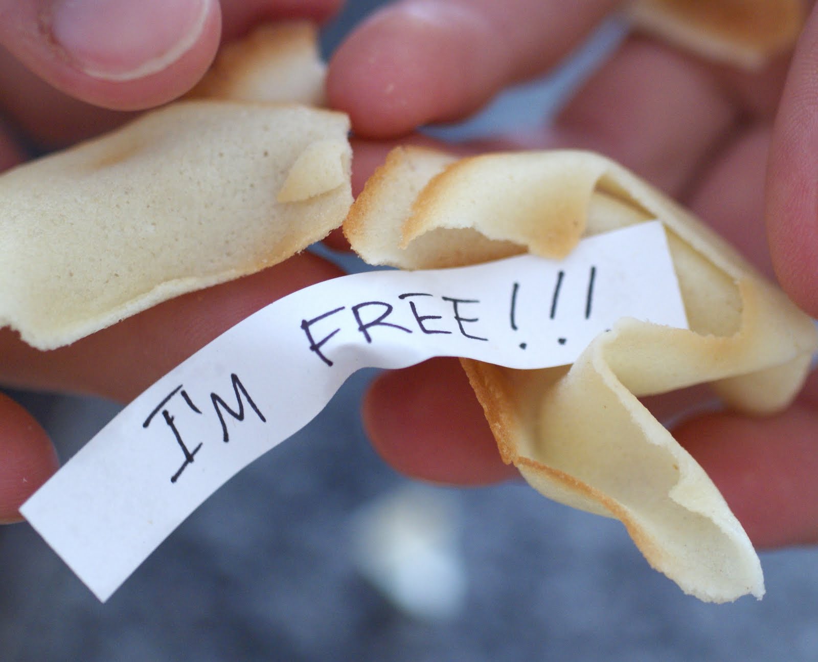 2 Stews Zen and the Art of Fortune Cookies