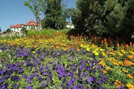 Thunder Bay Flower Garden