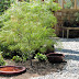 Garden Zen Outdoor Decor