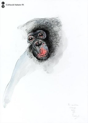 inkwash sketch of chimp's head