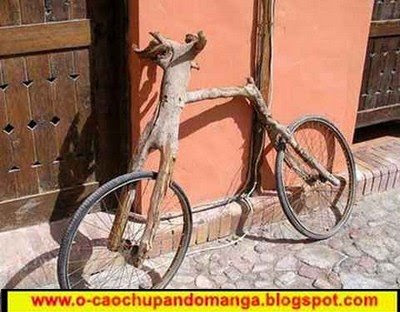bicicleta_improvisada.jpg