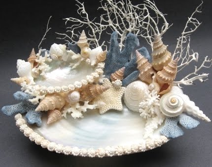 Seashell Art
